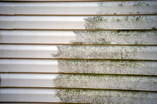 Clementon, NJ Siding Installation & Repair Company