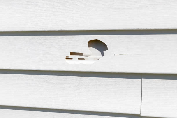 Best Stone Veneer Siding  in Clementon, NJ
