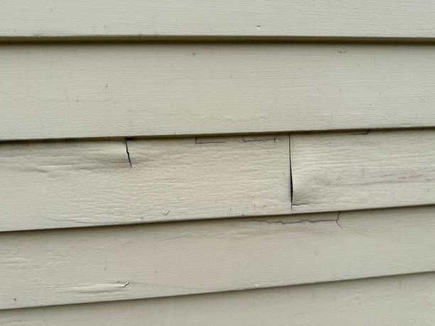 Best Custom Trim and Detailing for Siding  in Clementon, NJ